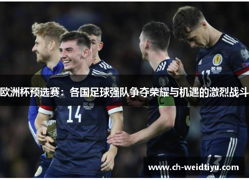 欧洲杯预选赛：各国足球强队争夺荣耀与机遇的激烈战斗