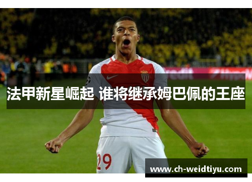 法甲新星崛起 谁将继承姆巴佩的王座