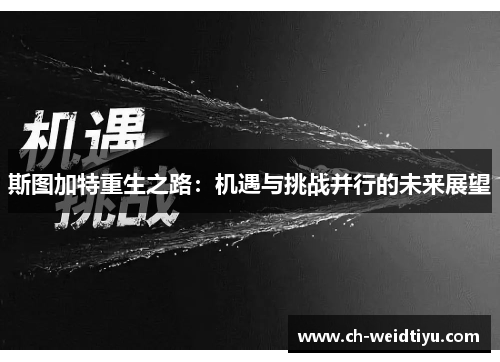 斯图加特重生之路：机遇与挑战并行的未来展望