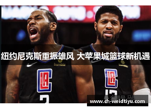 纽约尼克斯重振雄风 大苹果城篮球新机遇